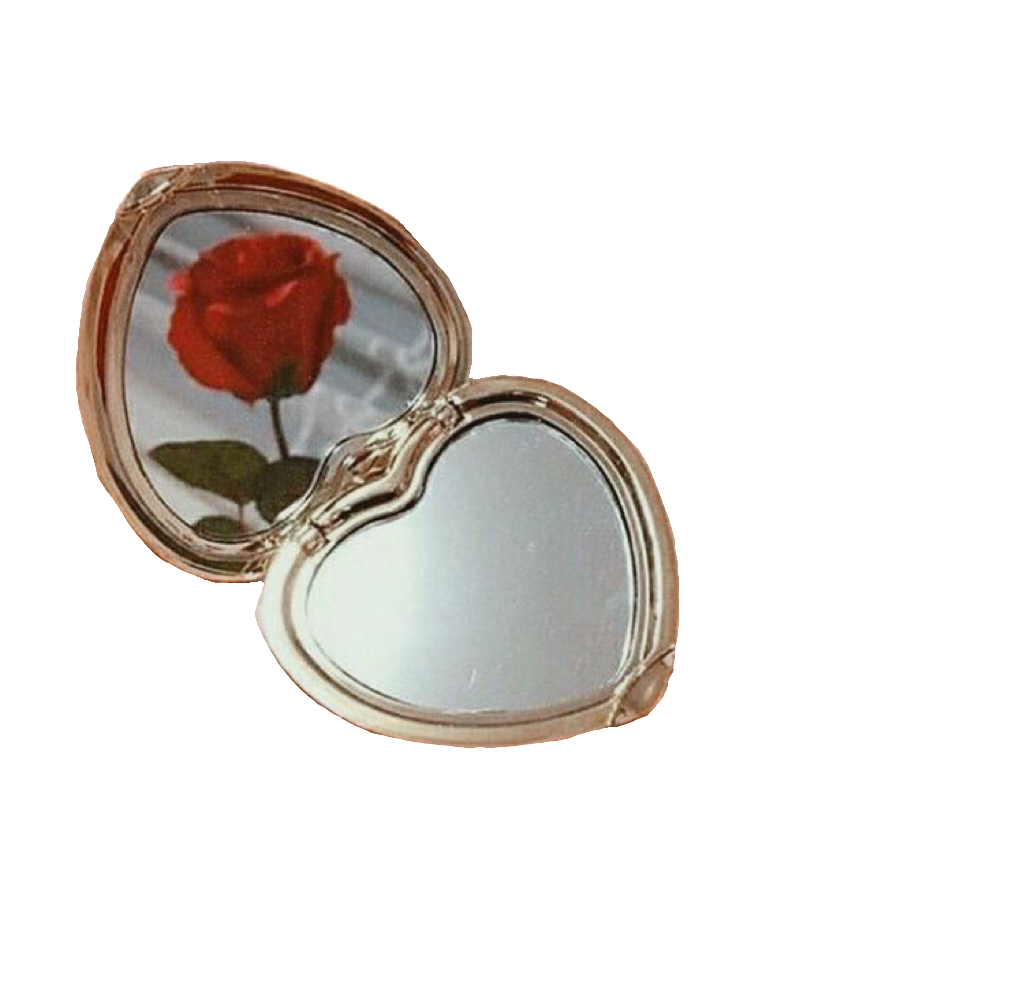 Le reflet de lauren mes lans mes d fis mes silences